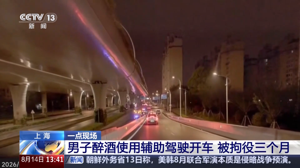 一男子醉酒后使用辅助驾驶发生事故并冲卡，被拘役三个月 + 罚款九千元